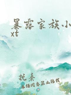 暴露家族小说txt