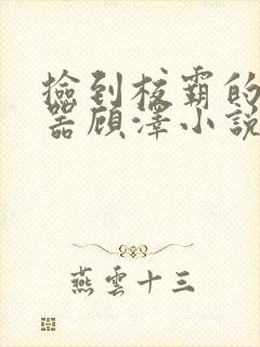 捡到校霸的遥控器顾泽小说免费阅读