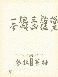 一胞三胎总裁爹爹超凶猛免费阅读