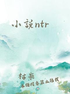 小说ntr