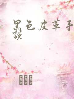 黑色皮革手册小说