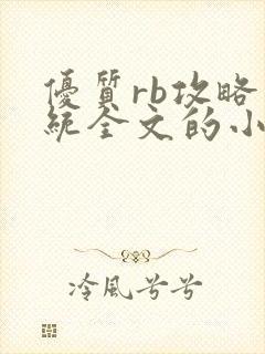 优质rb攻略系统全文的小说