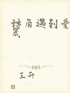 转角遇到爱 李晟