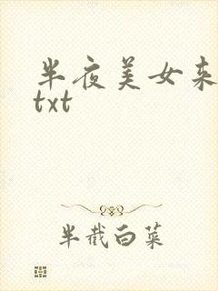 半夜美女来敲门txt