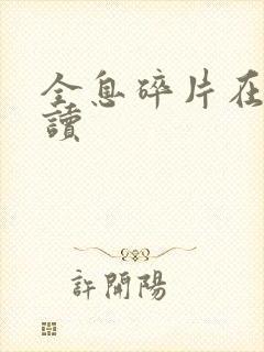 全息碎片在线阅读