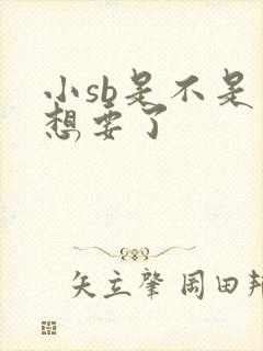 小sb是不是又想要了