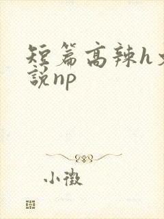 短篇高辣h文小说np