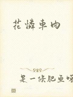 花怜车肉