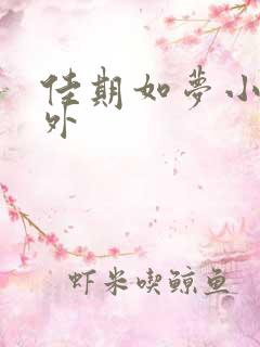 佳期如梦小说番外