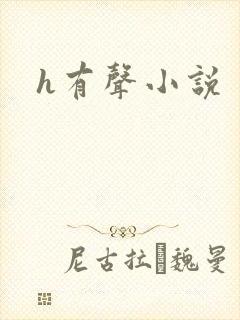 h有声小说