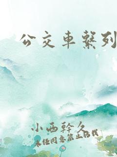 公交车系列说说