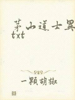 茅山道士异界游txt