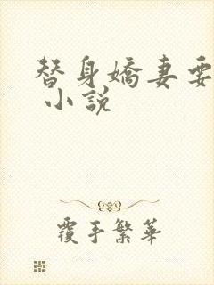 替身娇妻要离婚 小说