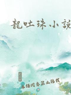龙吐珠小说