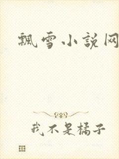 飘雪小说网