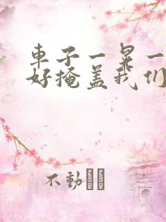 车子一晃一晃正好掩盖我们什么