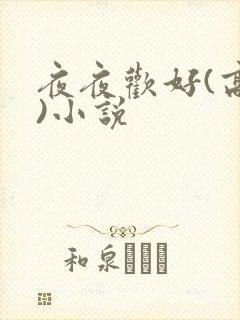 夜夜欢好(高h)小说