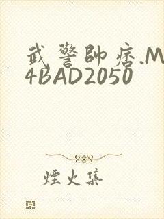 武警帅痞.MP4BAD2050