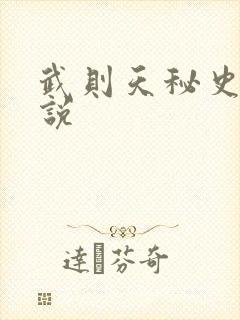 武则天秘史 小说