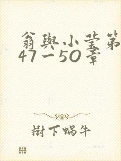 翁与小莹第十部47一5O章