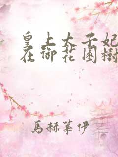 皇上太子妃沈音在御花园树上