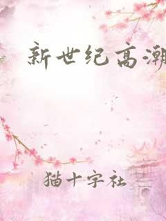 新世纪高潮战队