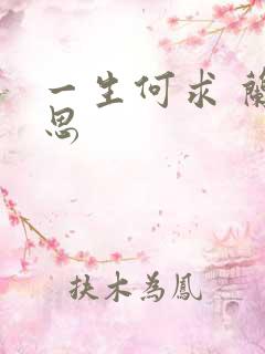 一生何求 兰思思