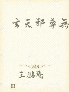 玄天邪尊无弹窗