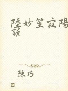 陆妙笙寂阳朔小说