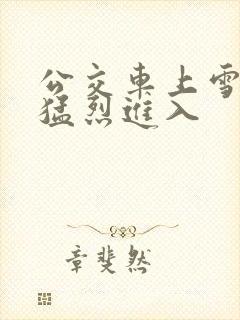 公交车上雪柔被猛烈进入