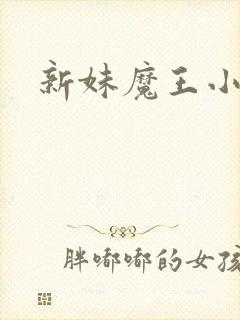 新妹魔王小说