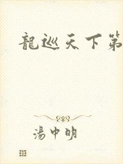 龙巡天下第四部