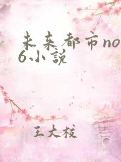 未来都市no.6小说