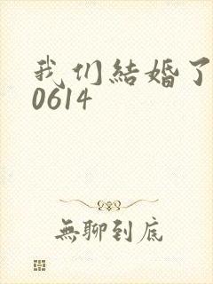 我们结婚了130614