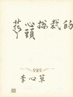 花心总裁的小小丫头