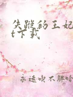 失踪的王妃txt下载