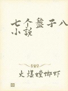 七个盘子八个碗小说