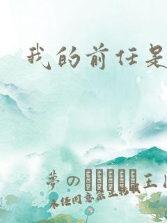 我的前任是极品