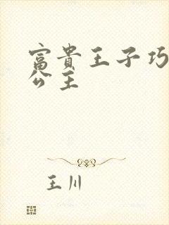 富贵王子巧遇穷公主