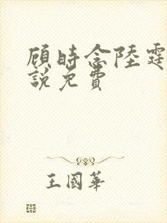 顾时念陆霆骁小说免费