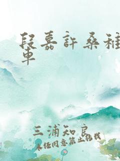 段嘉许桑稚浴室车