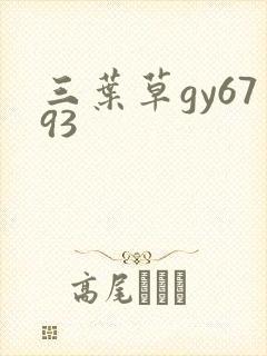 三叶草gy6793