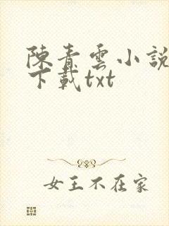 陈青云小说全集下载txt