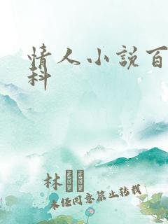 情人小说百度百科