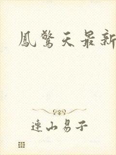 凤惊天最新章节