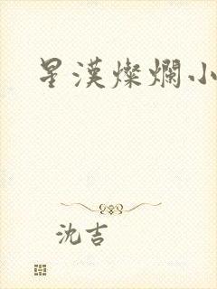 星汉灿烂小说