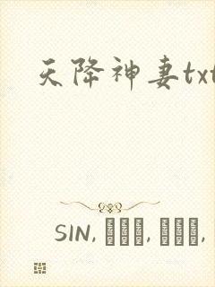 天降神妻txt