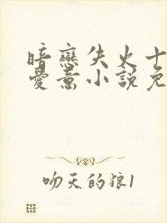 暗恋失火十年的爱意小说免费阅读