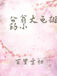 公翁大龟挺进我的小