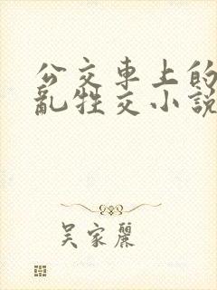 公交车上的疯狂乱牲交小说